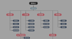 组织架构